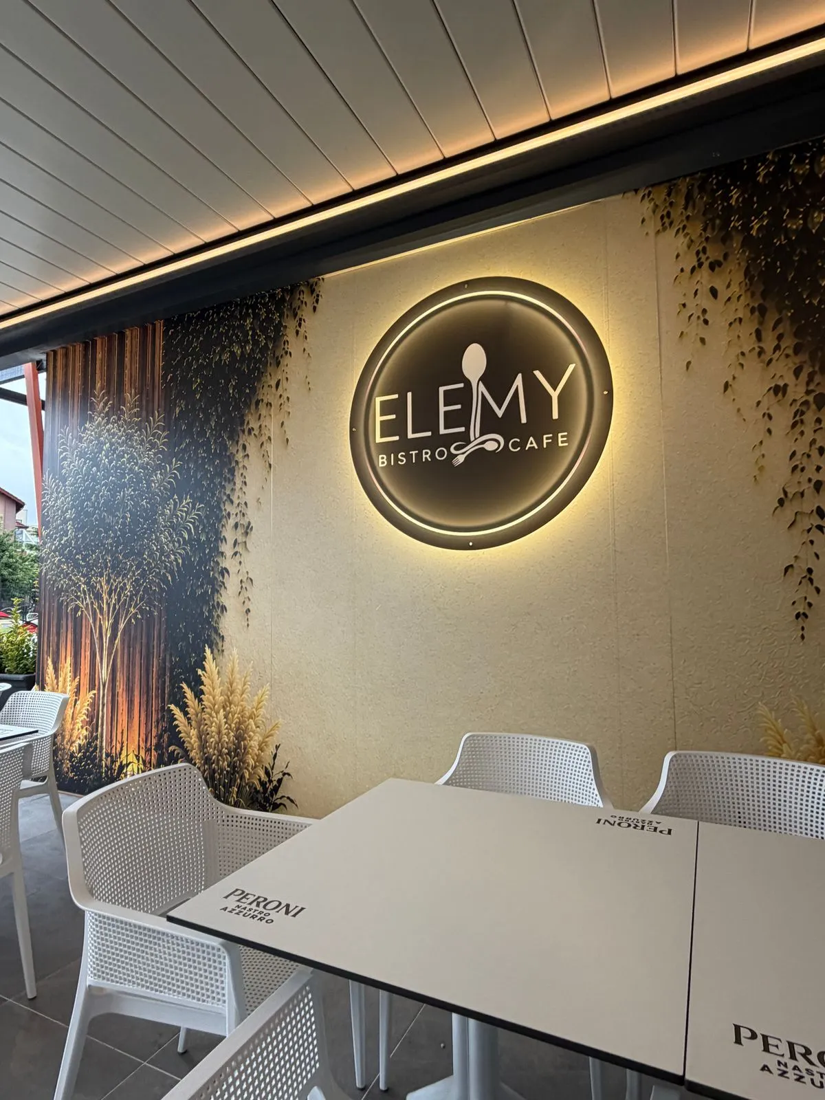Salonul ELEMY